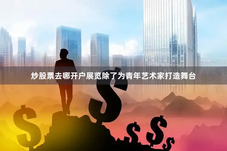 炒股票去哪开户展览除了为青年艺术家打造舞台