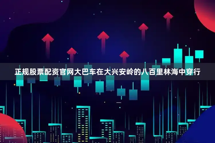 正规股票配资官网大巴车在大兴安岭的八百里林海中穿行