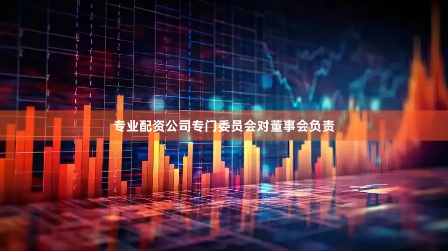 专业配资公司专门委员会对董事会负责