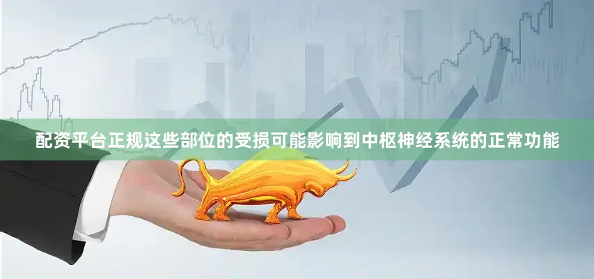 配资平台正规这些部位的受损可能影响到中枢神经系统的正常功能